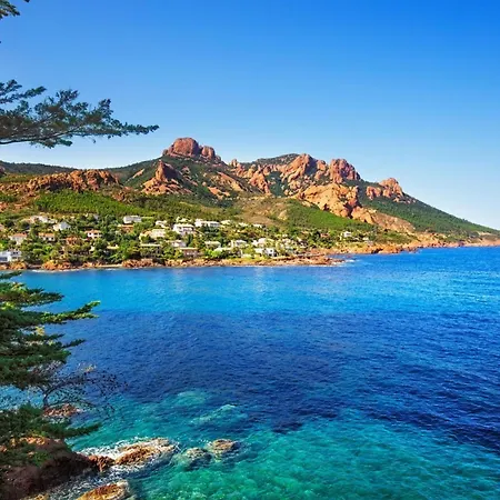 Center - 5min From Croisette & Pal - Happy 아파트